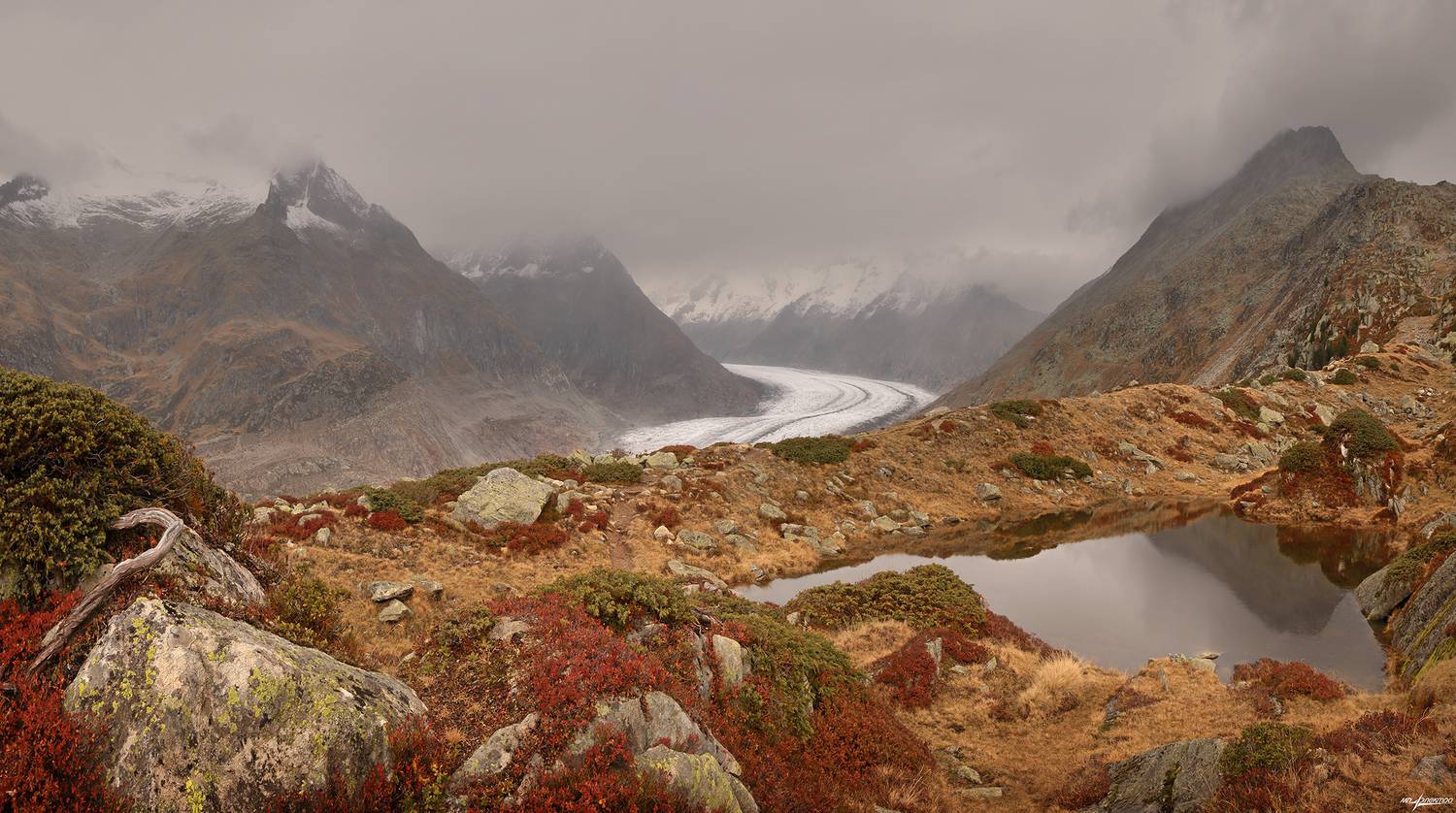 swiss, Матвеев Николай