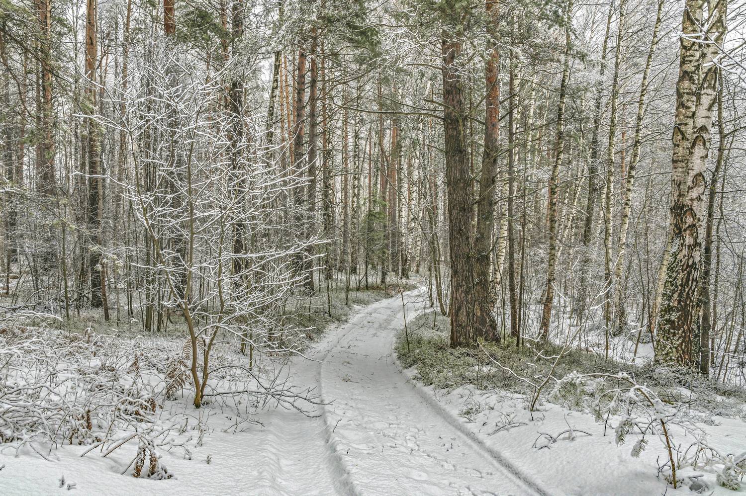 , Шитов Александр