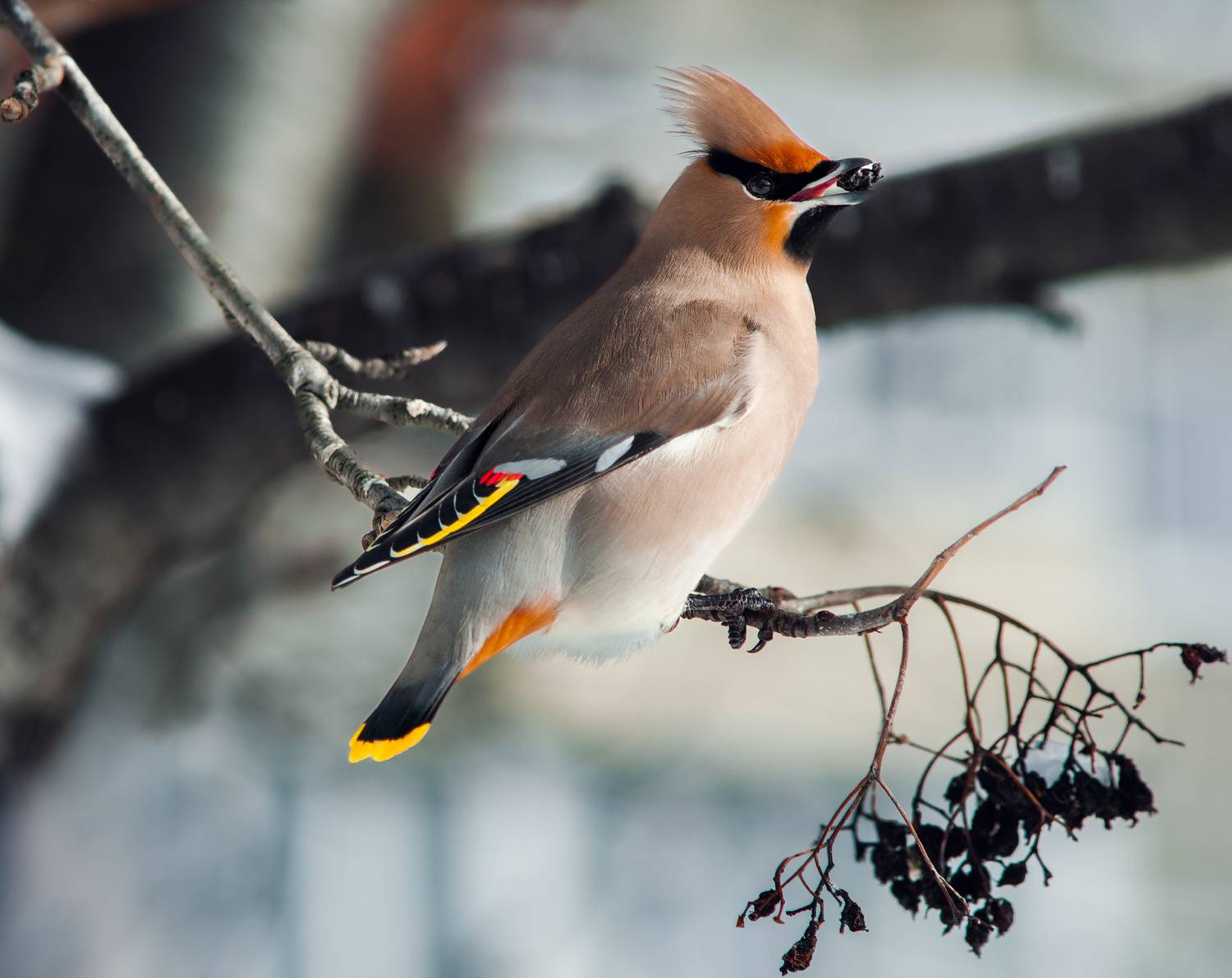 , Истомин Виталий