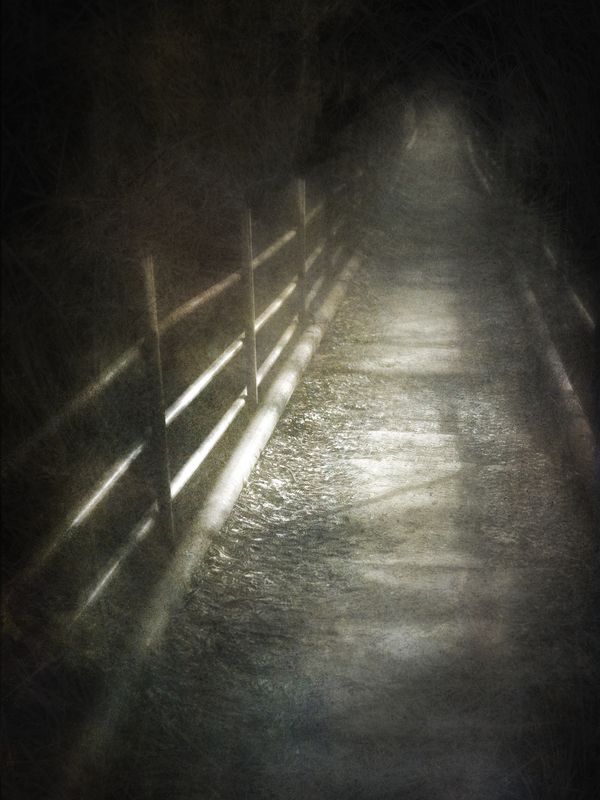 чб, тропа Неизвестность. фото превью