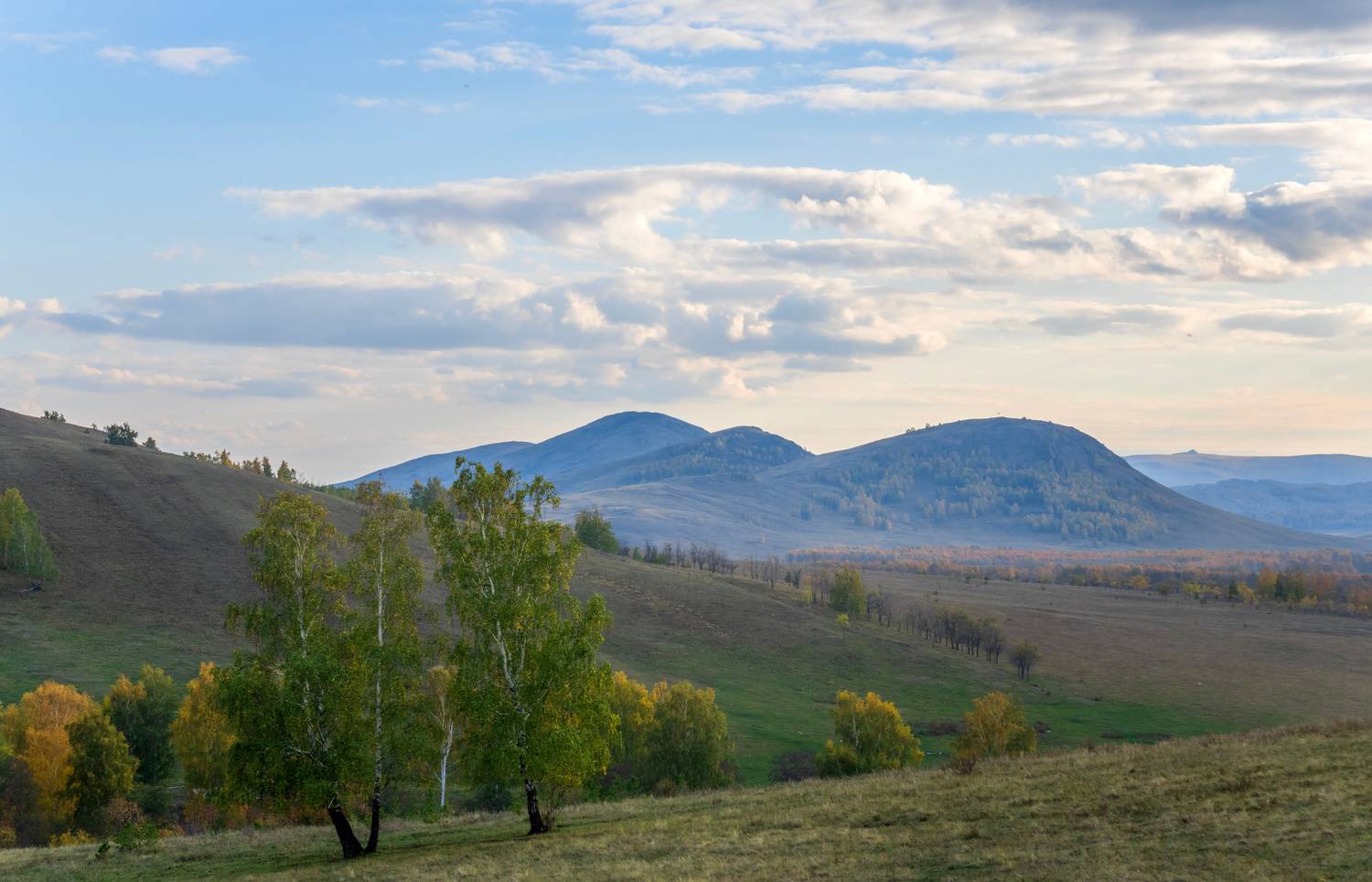 , Шустиков Дмитрий