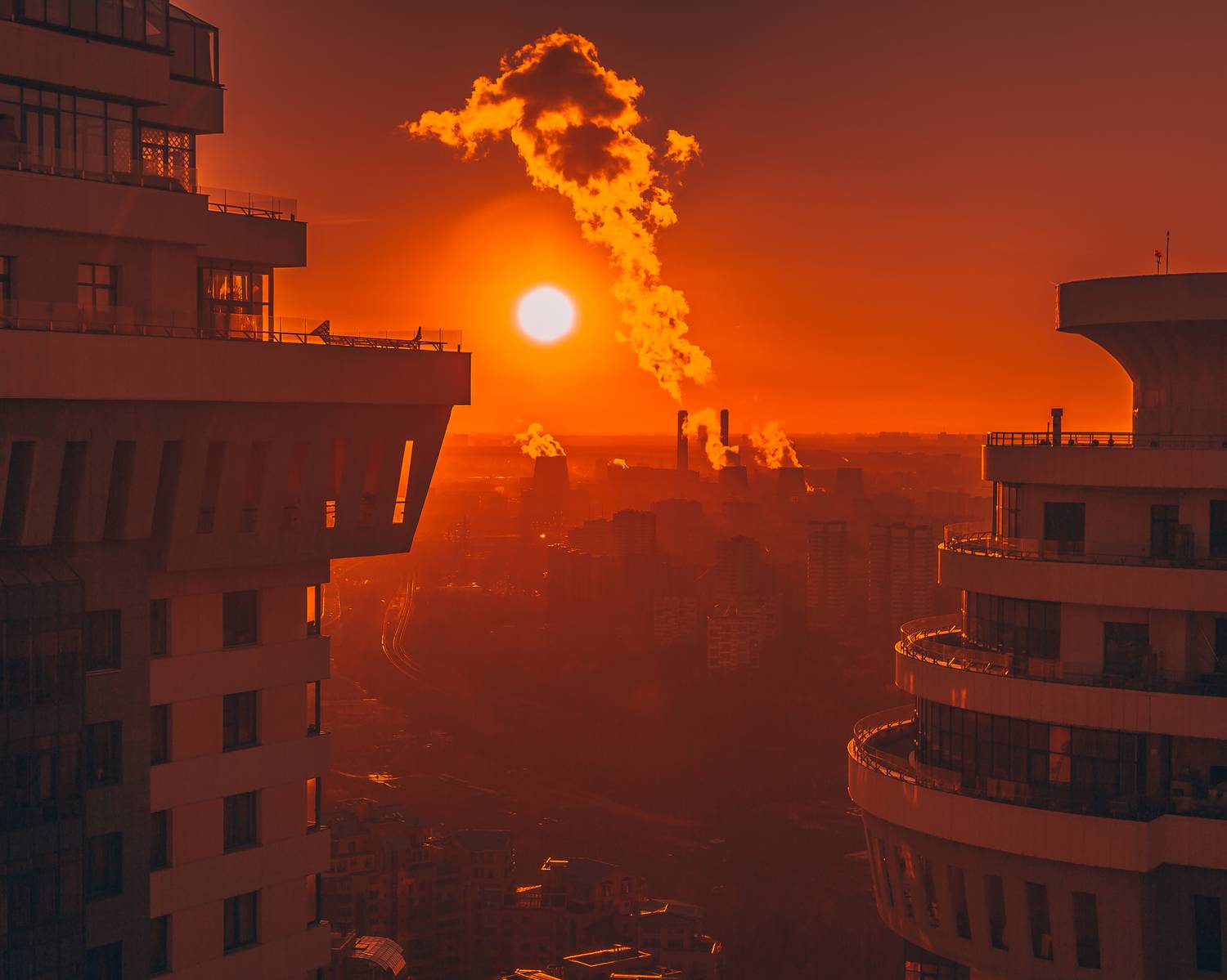 , Трепольский Дмитрий