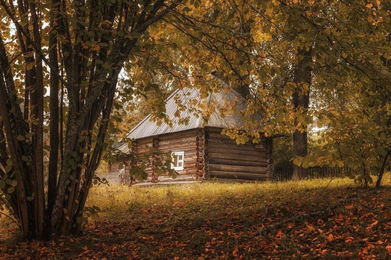 Михайловское фото превью