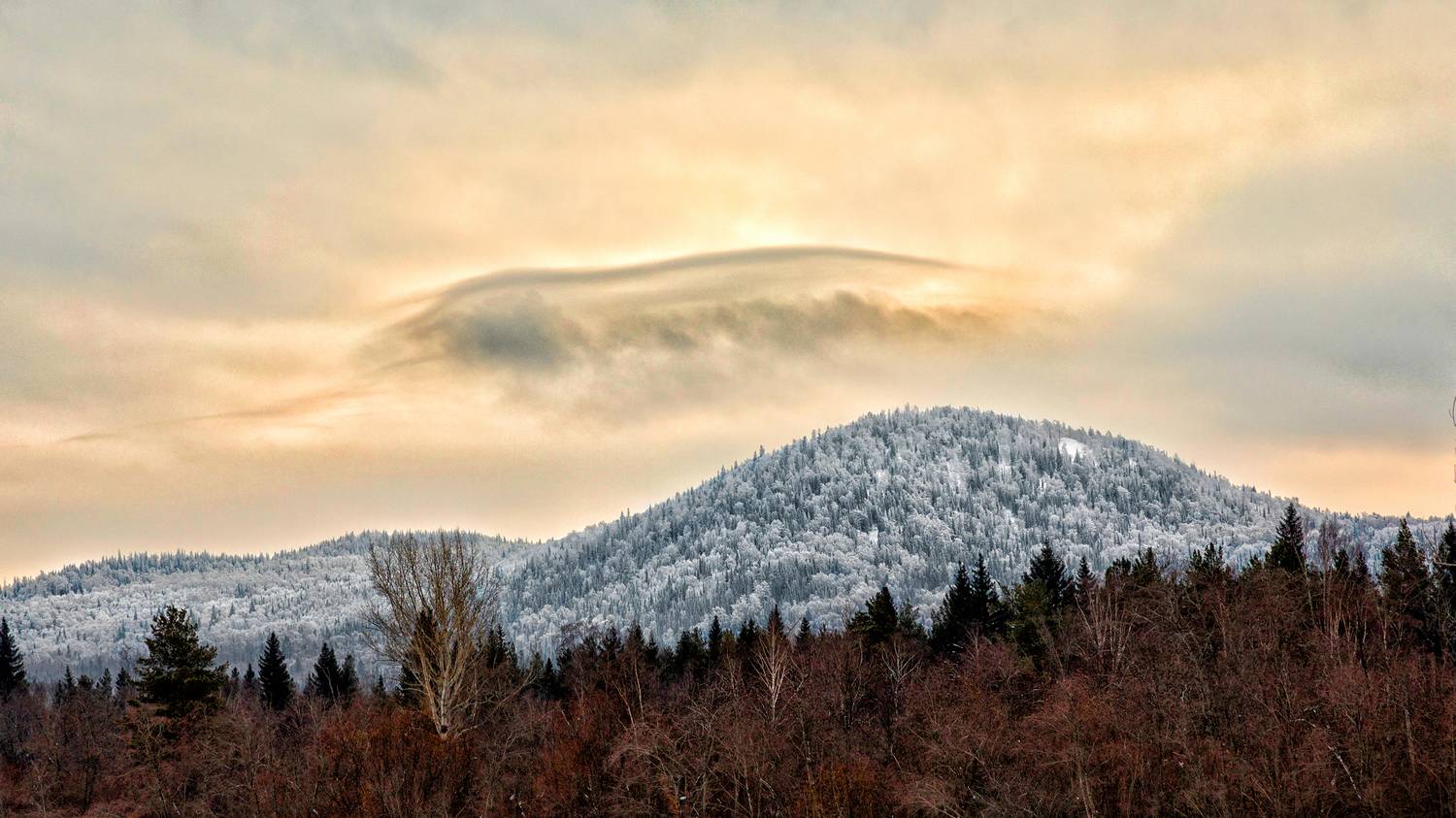 , Ушаков Валерий