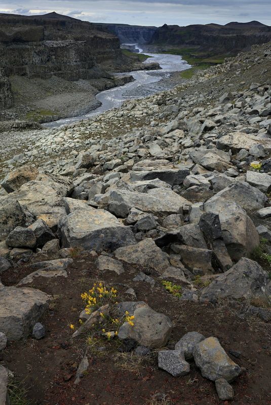 iceland, river, исландия, река Каменные берега фото превью