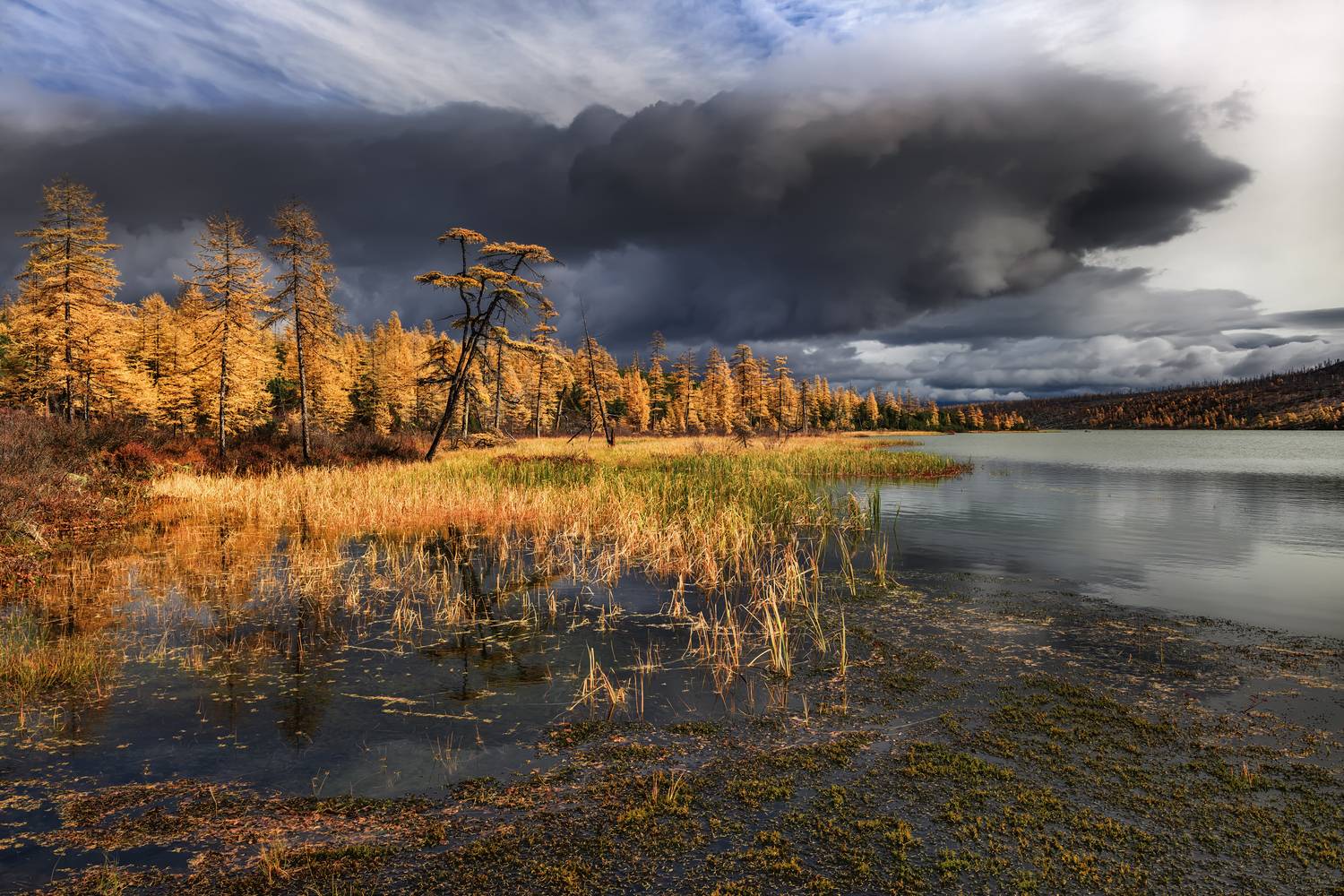 Озеро Джека Лондона, Евдокимов Максим
