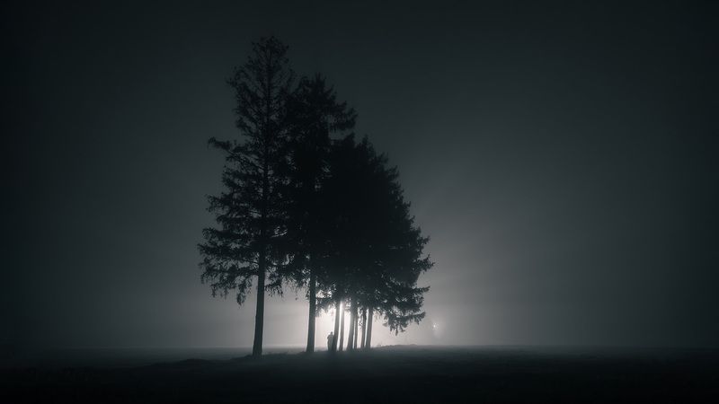 Portfolio фото превью