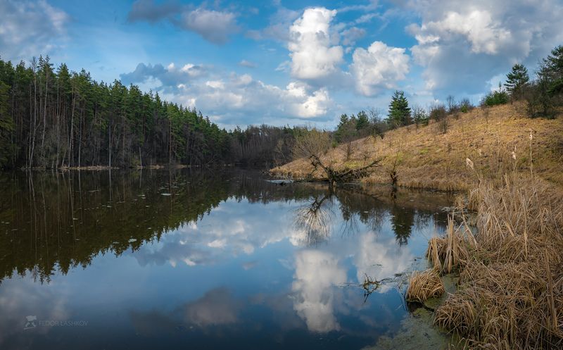 белгородская область, белогорье, отражение, пруд, озеро, водоём, дерево, берег, весна, весенний, апрель, апрельское, облака, облачно, лес, сосны, поля, дорога, просёлка, Апрель фото превью