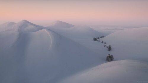 Пломбирный караван