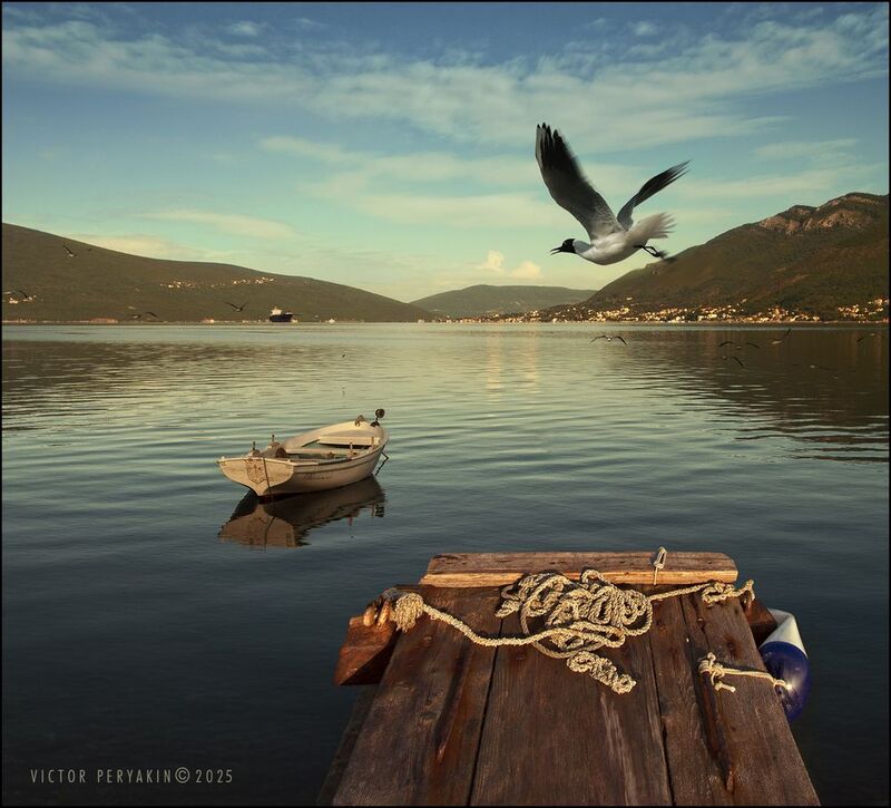 Чайка MONTENEGRO фото превью