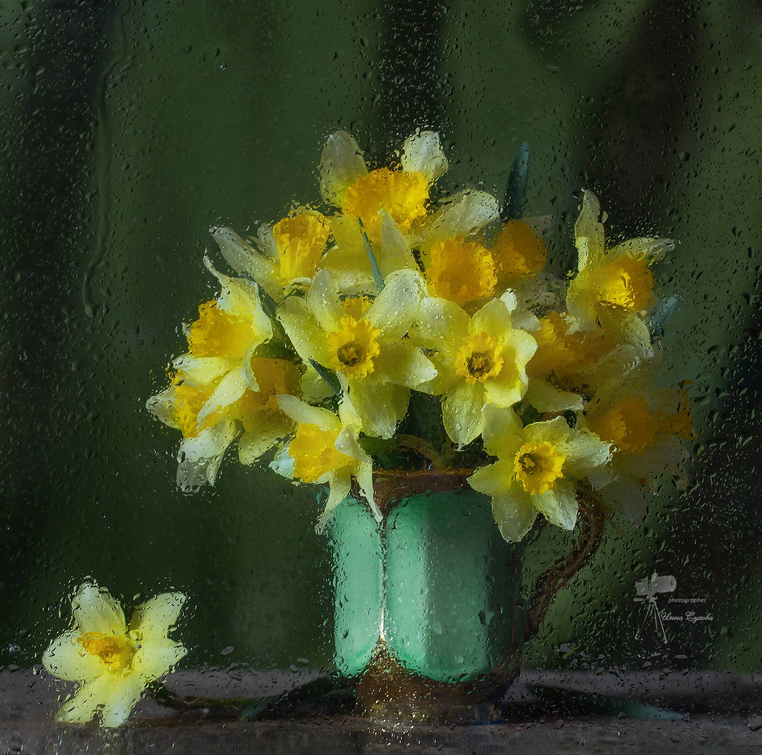 , Инна Сухова