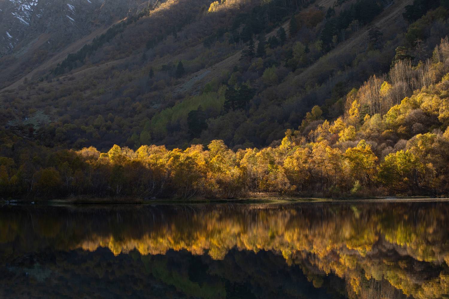 , Перевозчиков Андрей