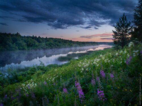 Белые ночи над Устьей