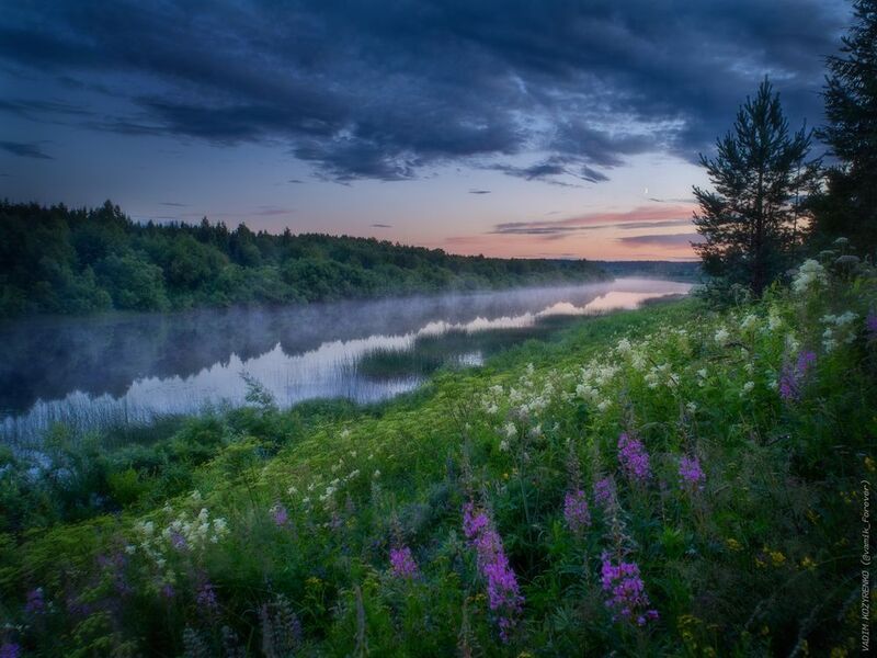 Белые ночи над Устьей фото превью