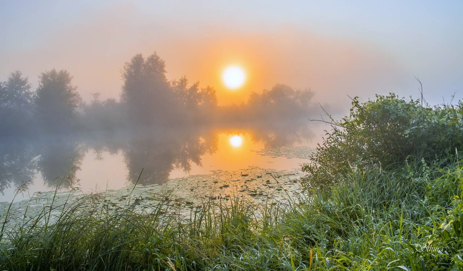 лето озеро туман рассвет природа пейзаж, Александр Строков