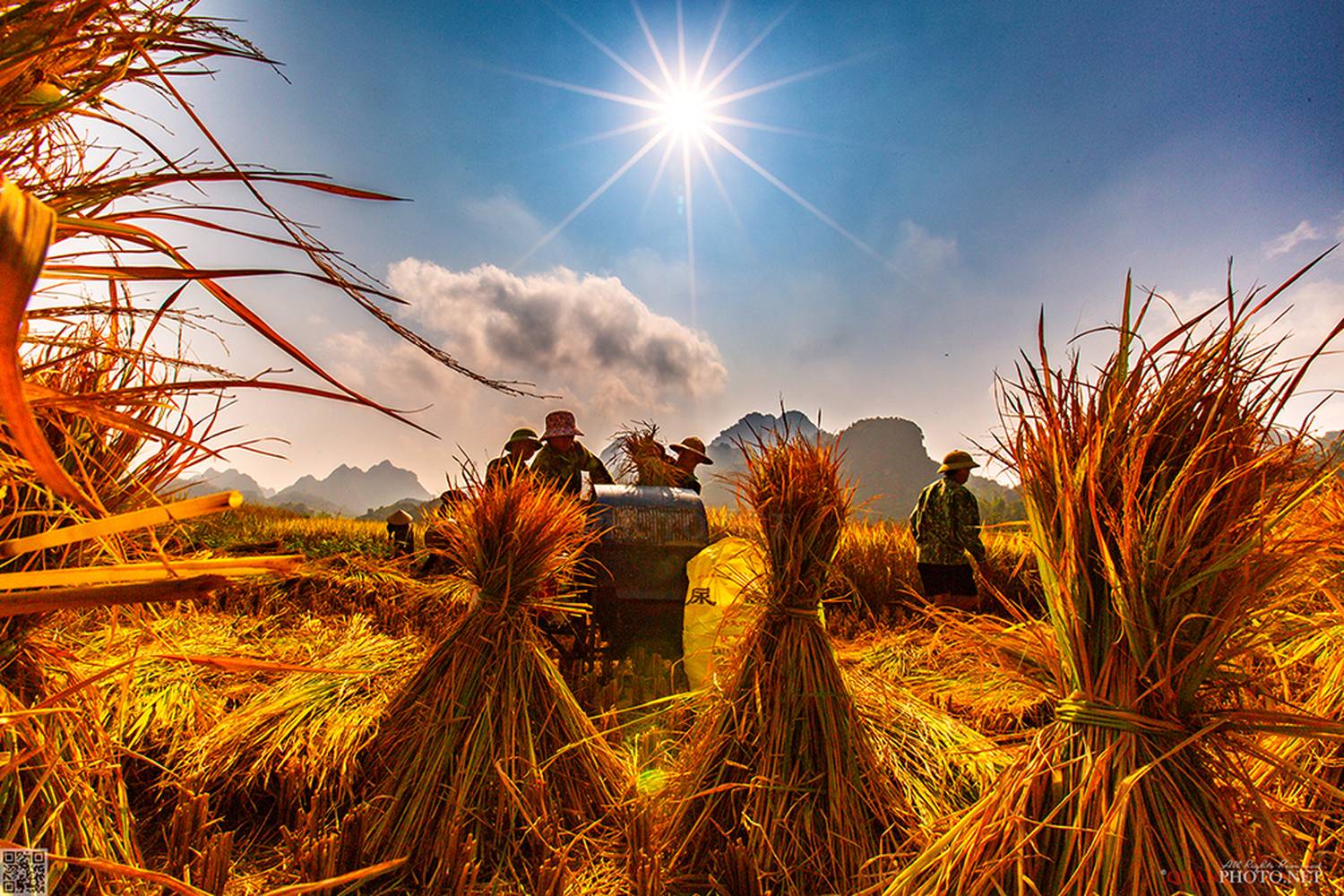quanphoto, rural, harvest, famers, farmland, agriculture, culture, caobang, vietnam, quanphoto