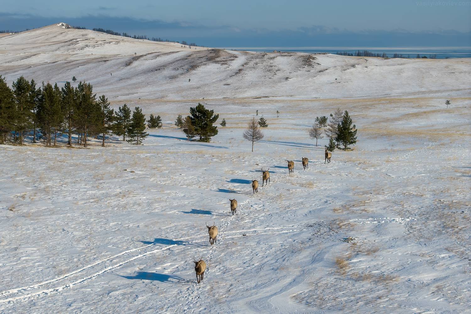 байкал, фототур, сибирь, ольхон, Василий Яковлев