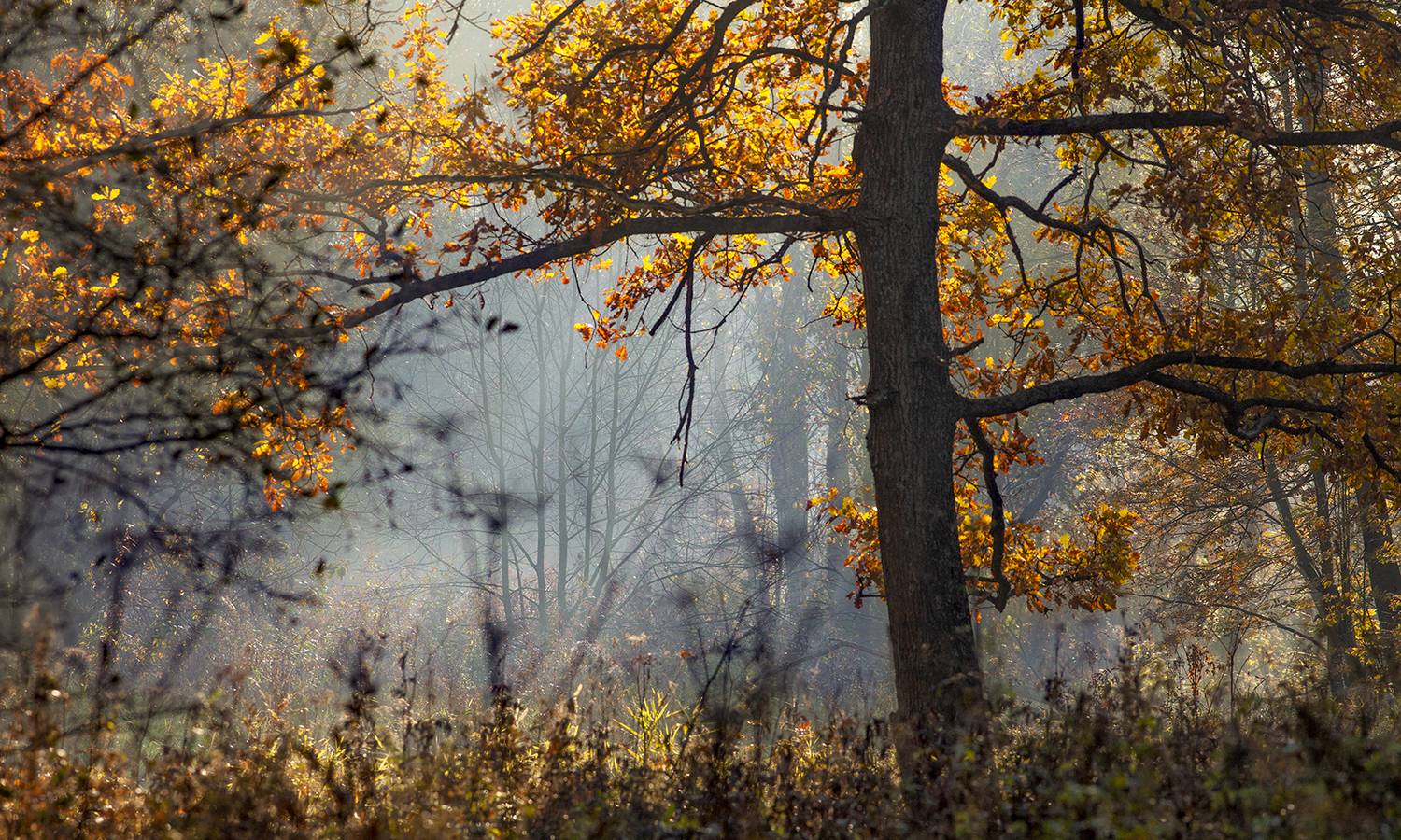 ,  александр михайлов