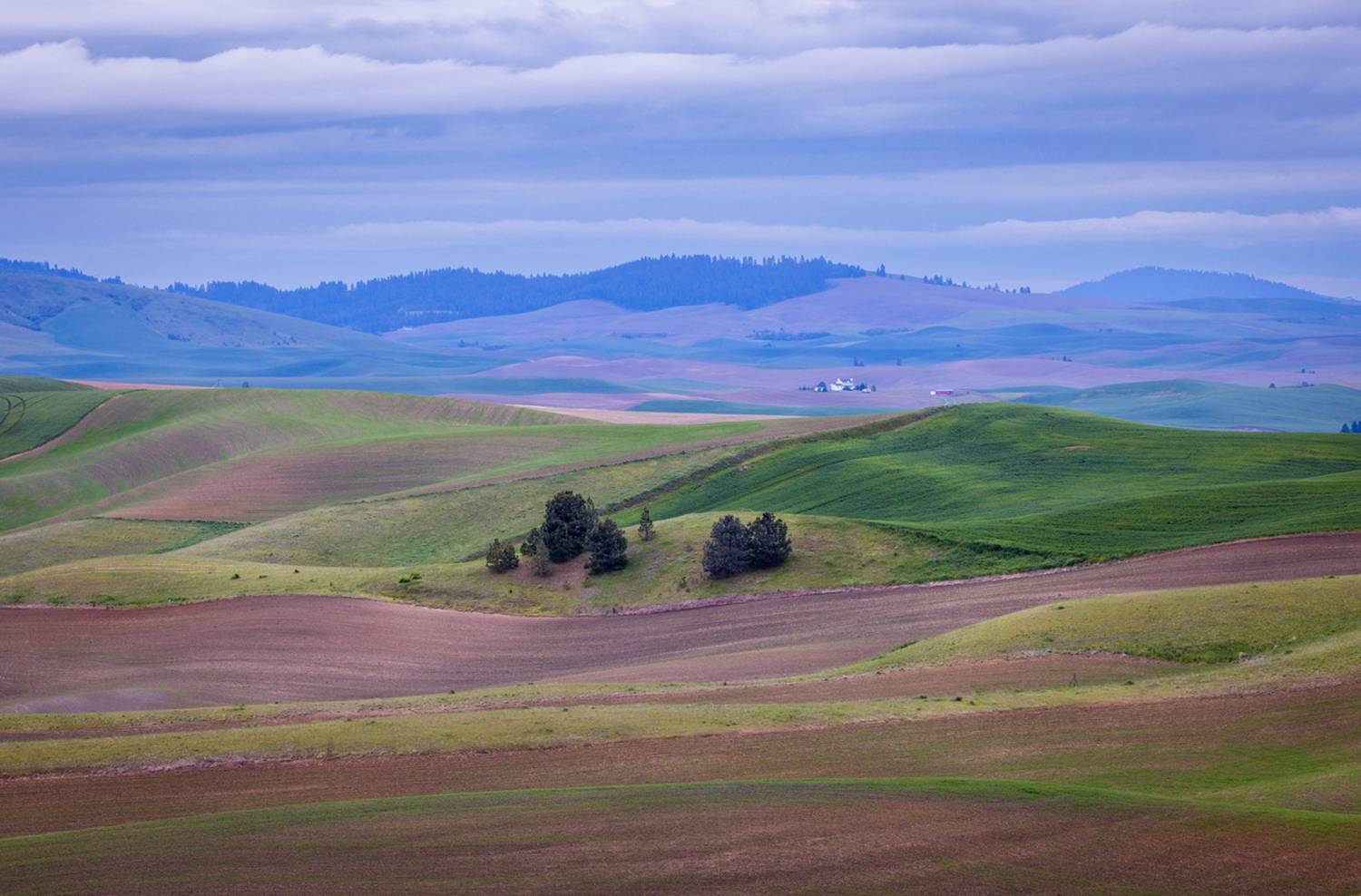 , Лозицкий Александр
