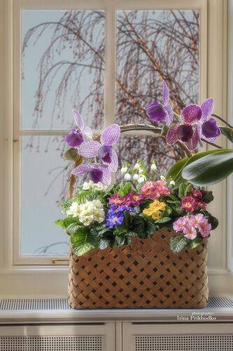 Весеннее окно