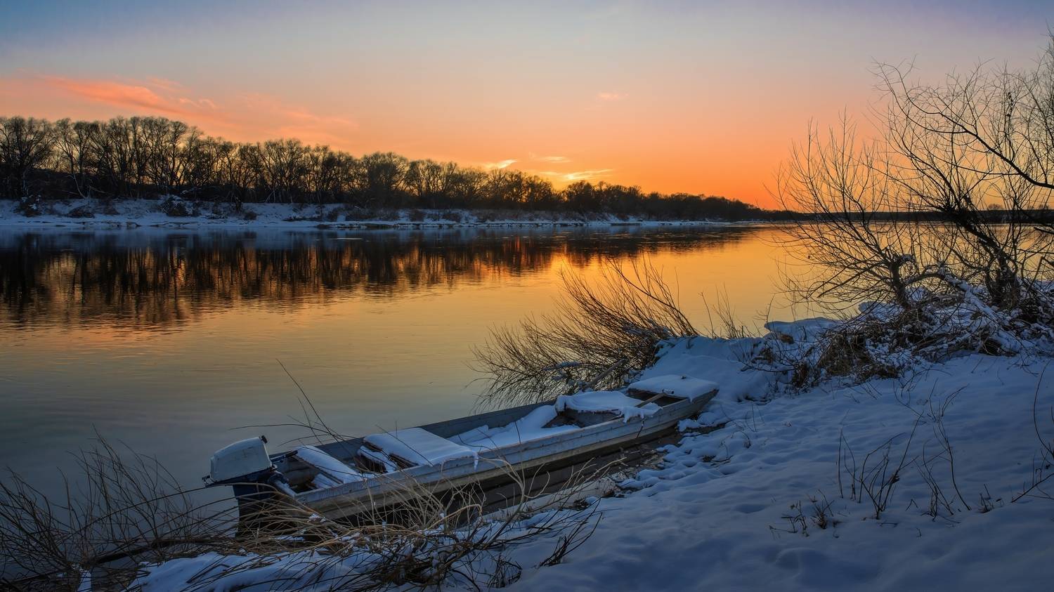 , Людмила Железнова