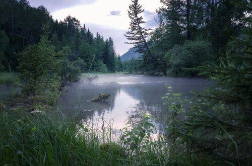 Вечер на болоте