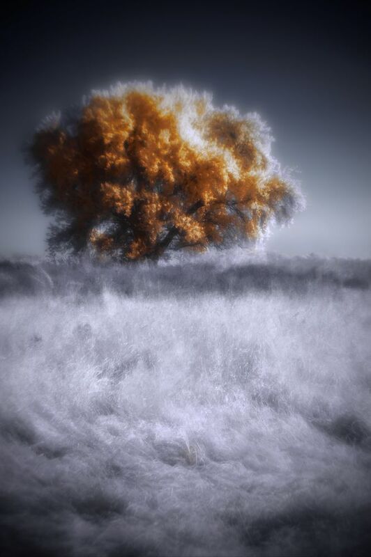 infrared, ик-фотои, нфракрасное фото, инфракрасная фотография, пейзаж, осень, монокль Осень дарит ветер фото превью