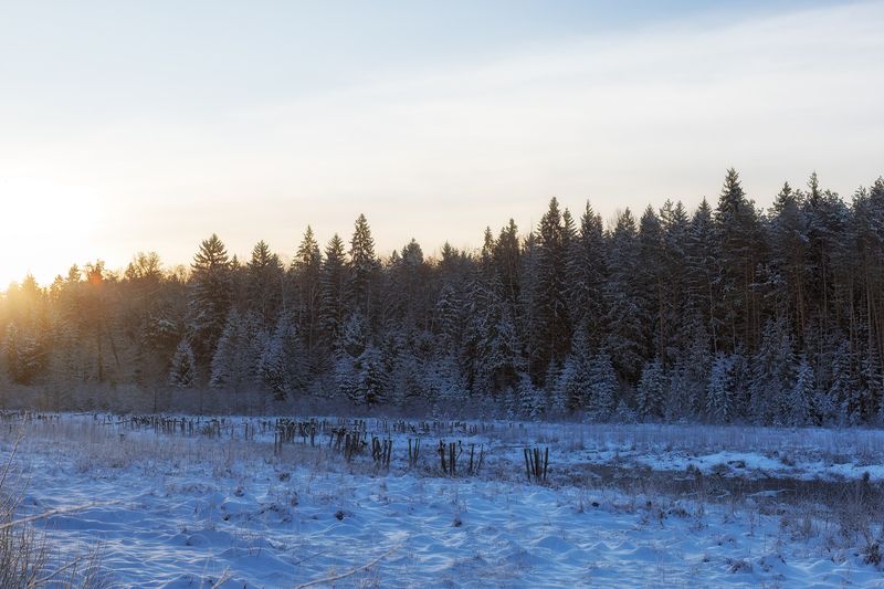 природа, пейзаж, зима, рассвет, nature, canon Зимний пейзаж  фото превью