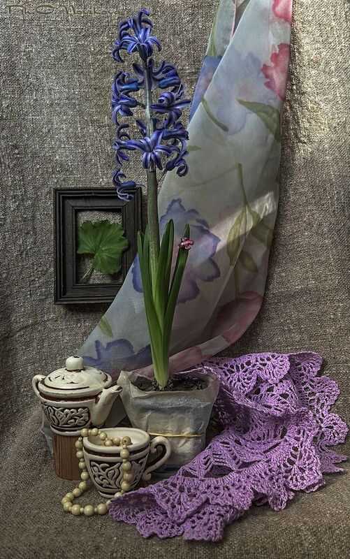 *** фото превью