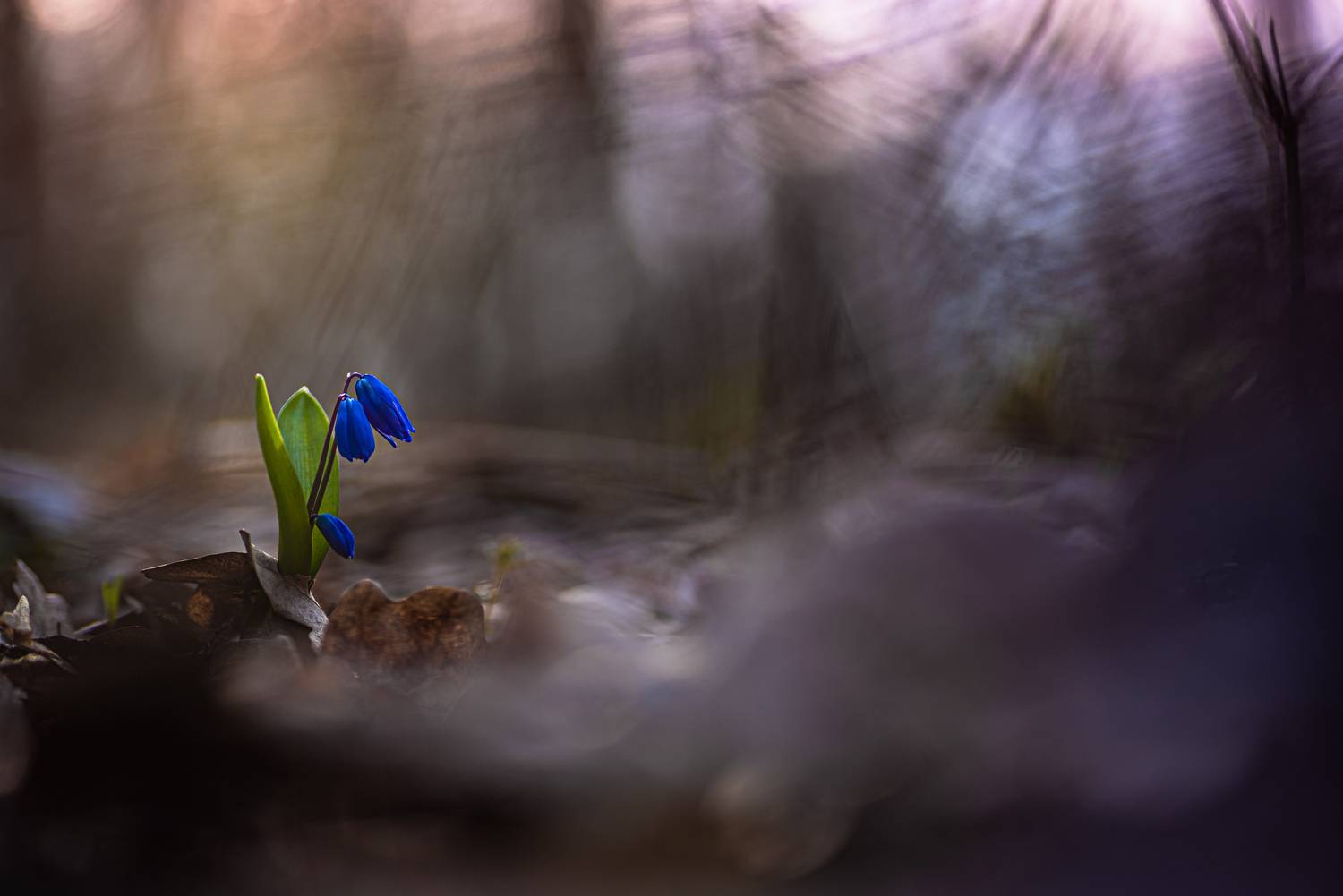 , Зайцев Роман