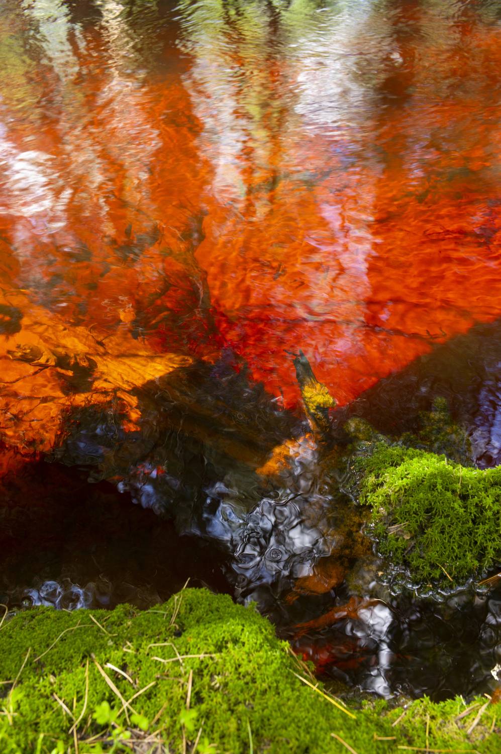 , Михаил Дронов