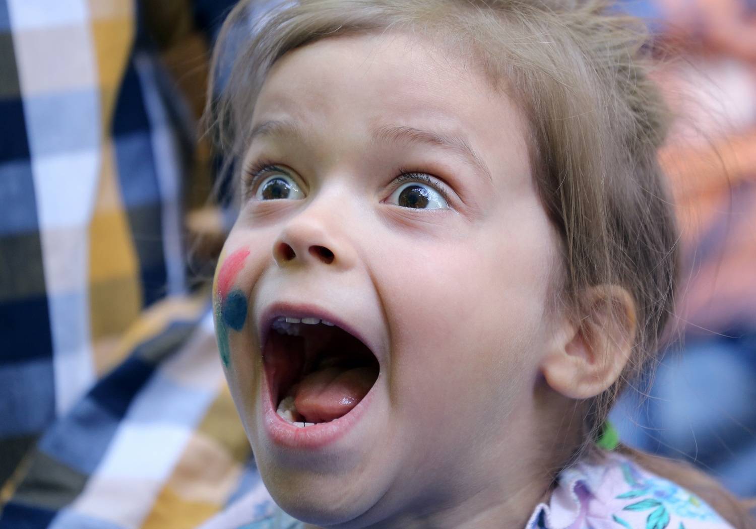 , Бибичков Михаил