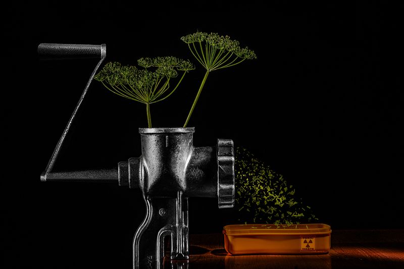 Утилизация фото превью