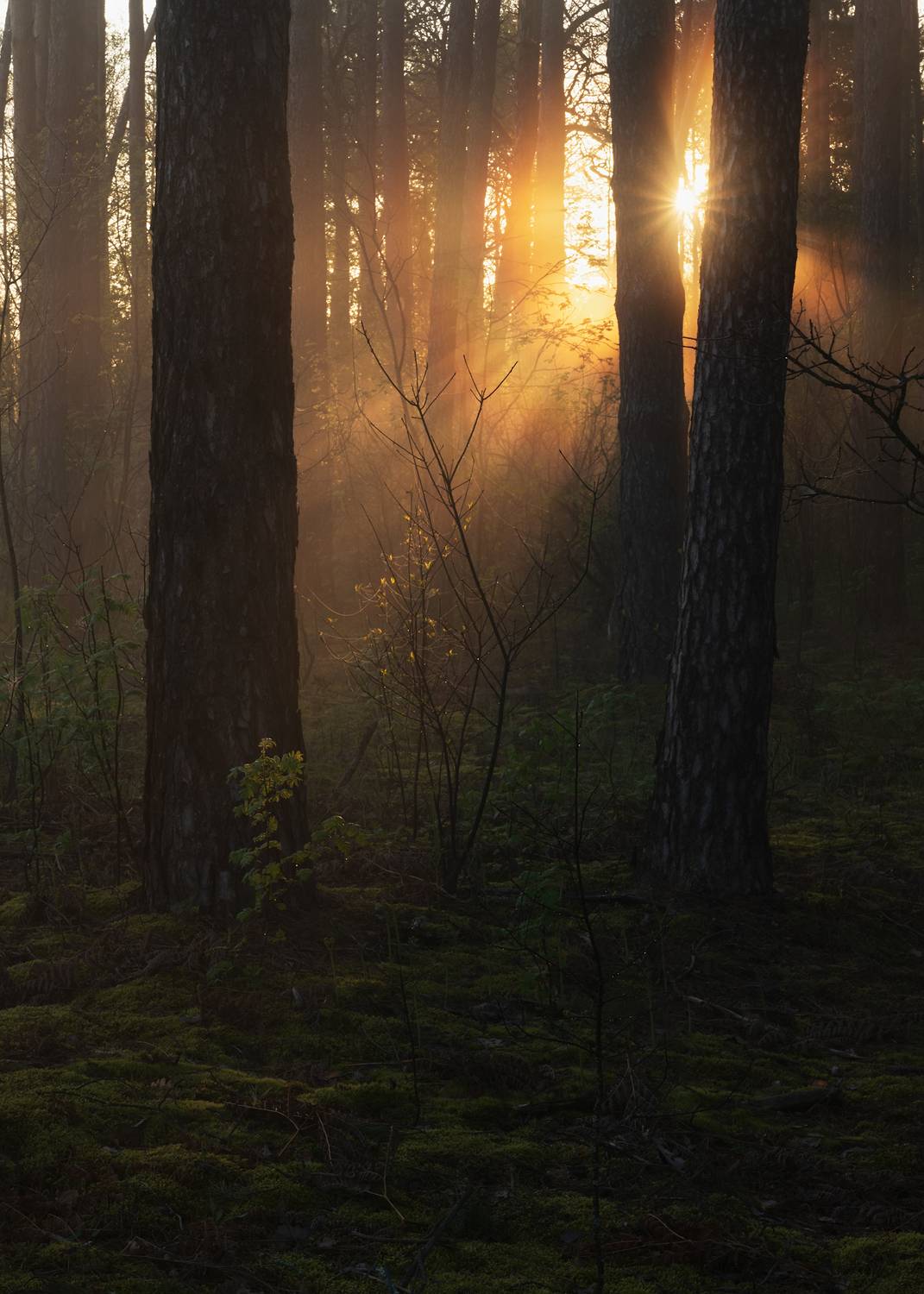 , Захаров Дмитрий