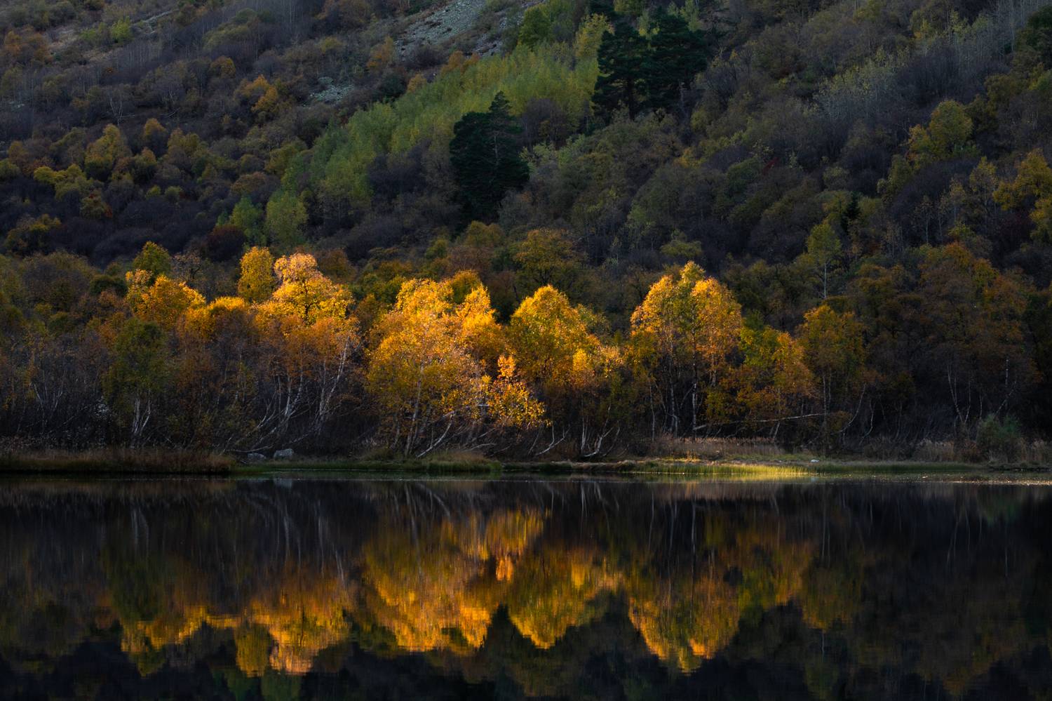 , Перевозчиков Андрей