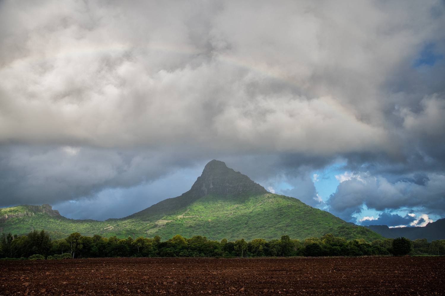 , Роман Князев