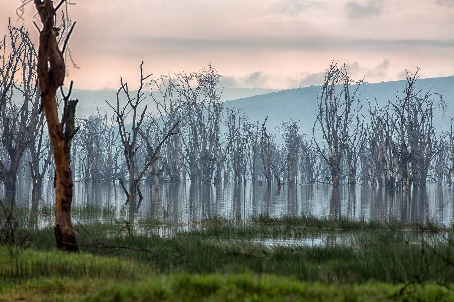, Vladimir Vorobeychik