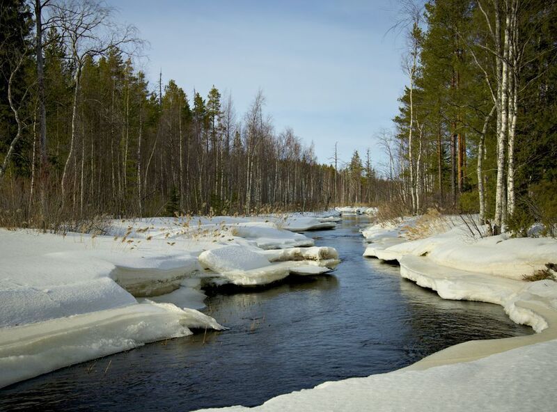 весна снег лёд вода течение лес река Урокса фото превью