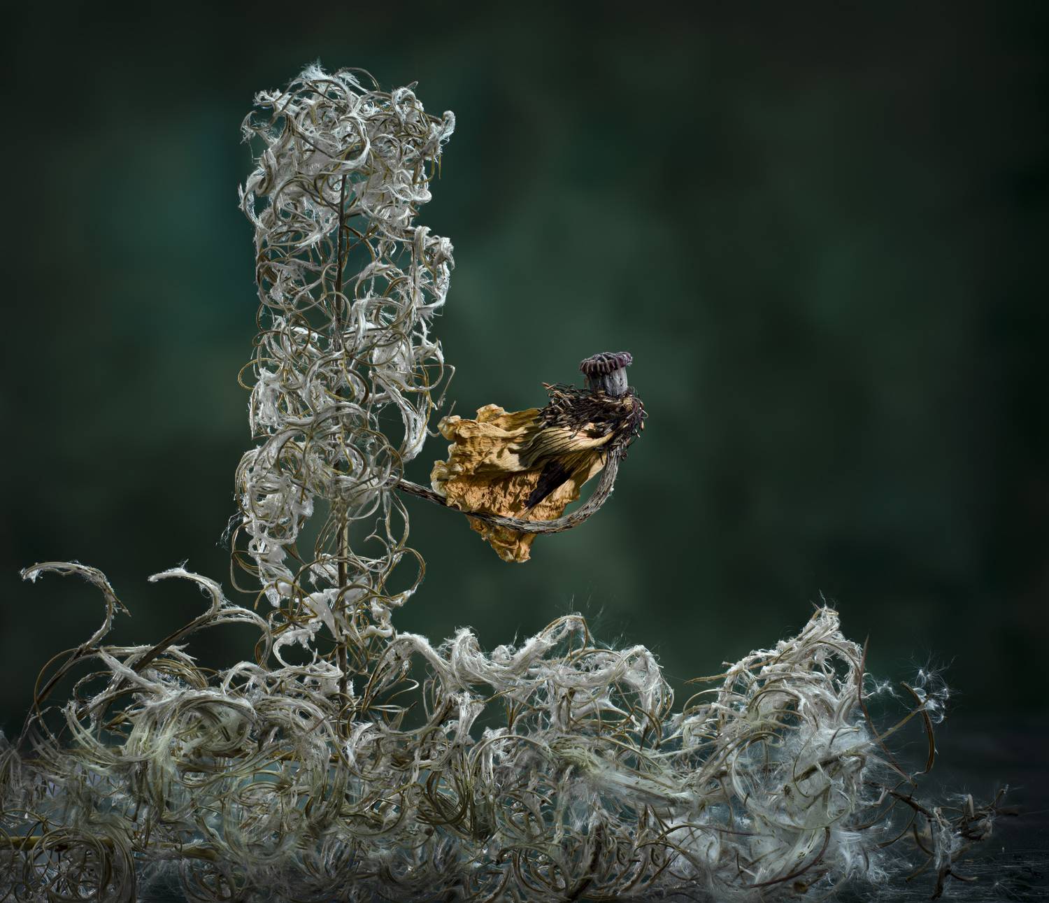 , Черновол Валентин