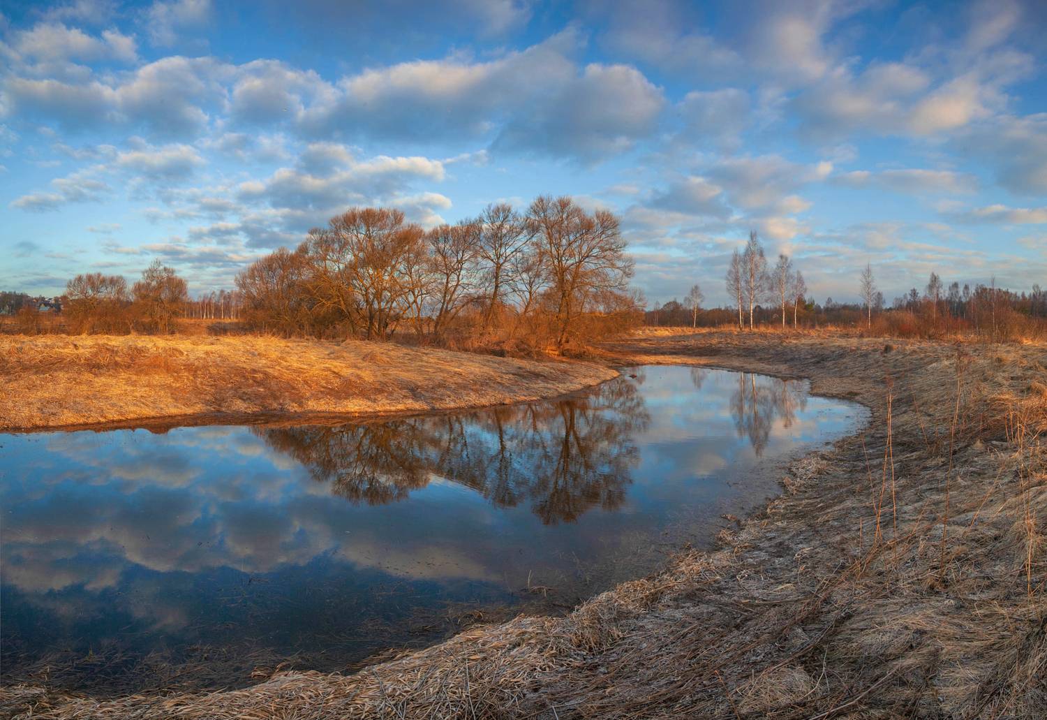 весна, поле, пруд , лес, Свистков Александр