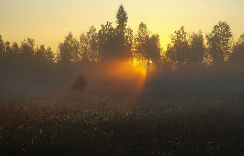 Утренний свет фото превью