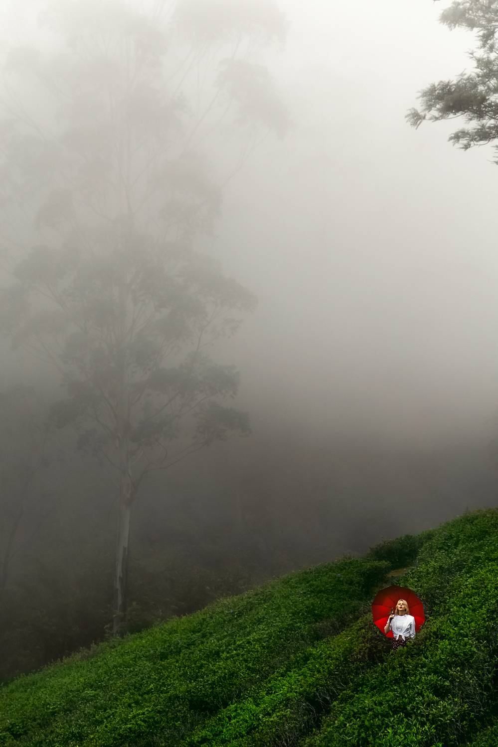 woman, portrait, fashion, beauty, outdoors, Руслан Болгов (Axe)