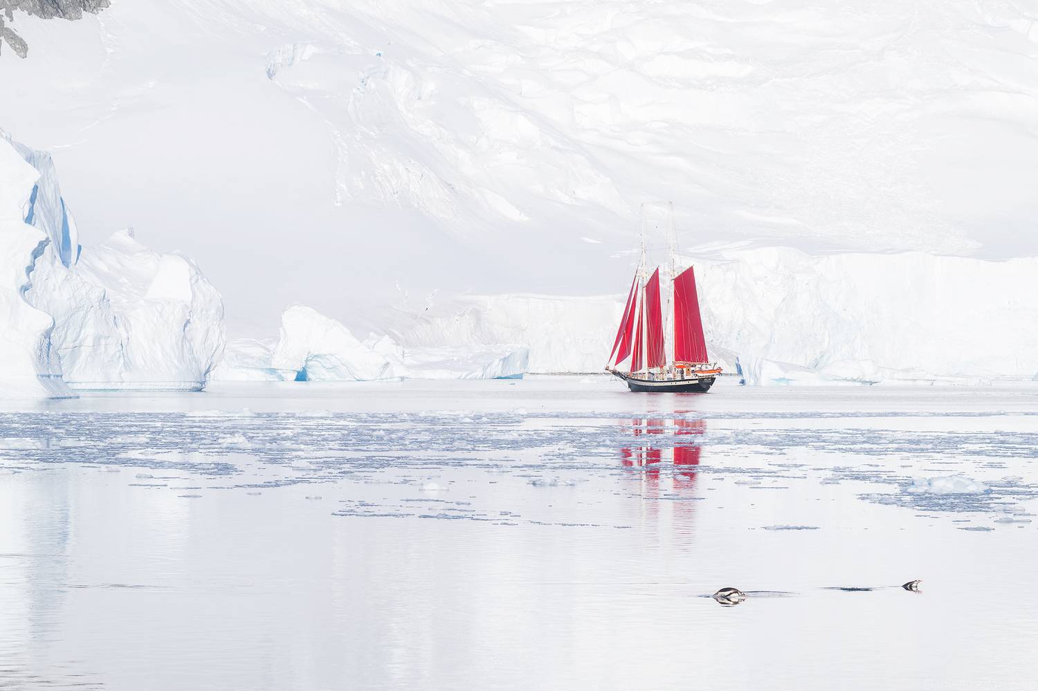Antarctica, Даниил Коржонов