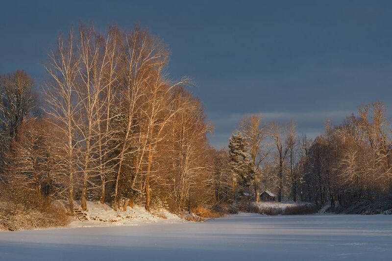 зима рассвет утро мороз пивоварово Пивоварово на рассвете. фото превью