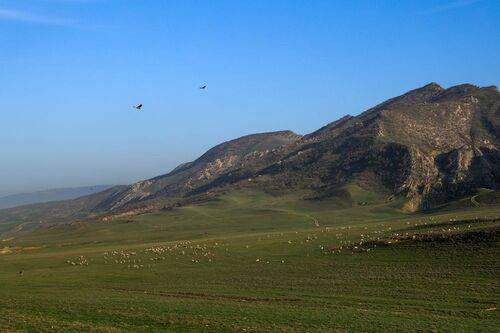 Горные мотивы..