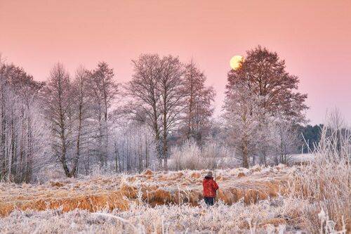 Рыбалка под луной