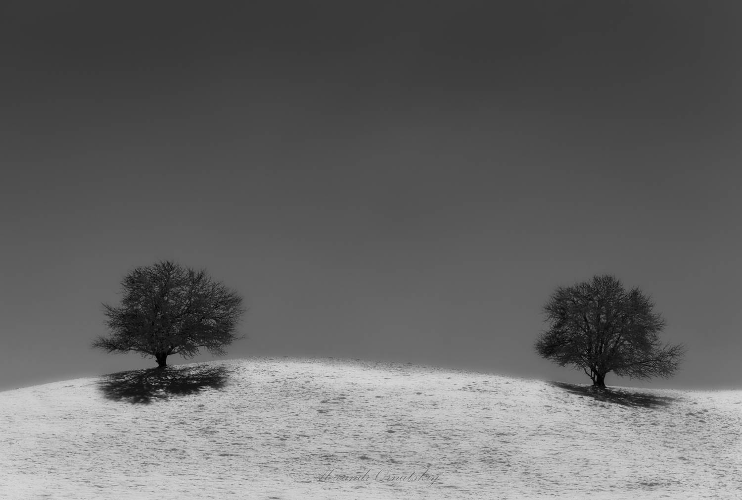 , Alexander Ornatskiy