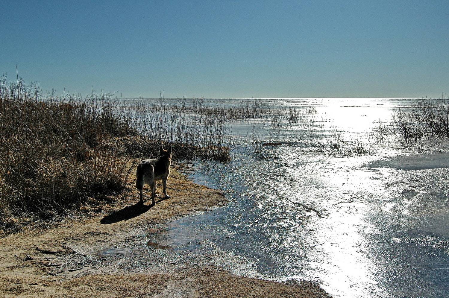 , Николаев Владимир