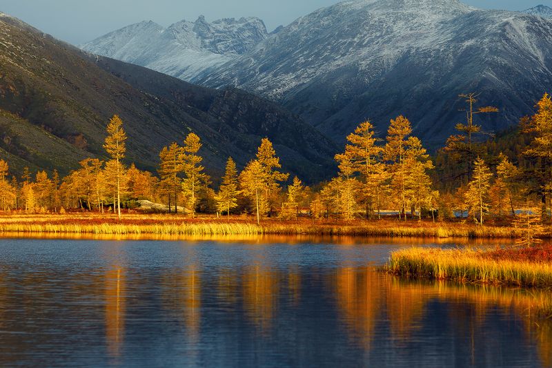 колыма, джека лондона Долина ручья Студёный. Колыма.  фото превью