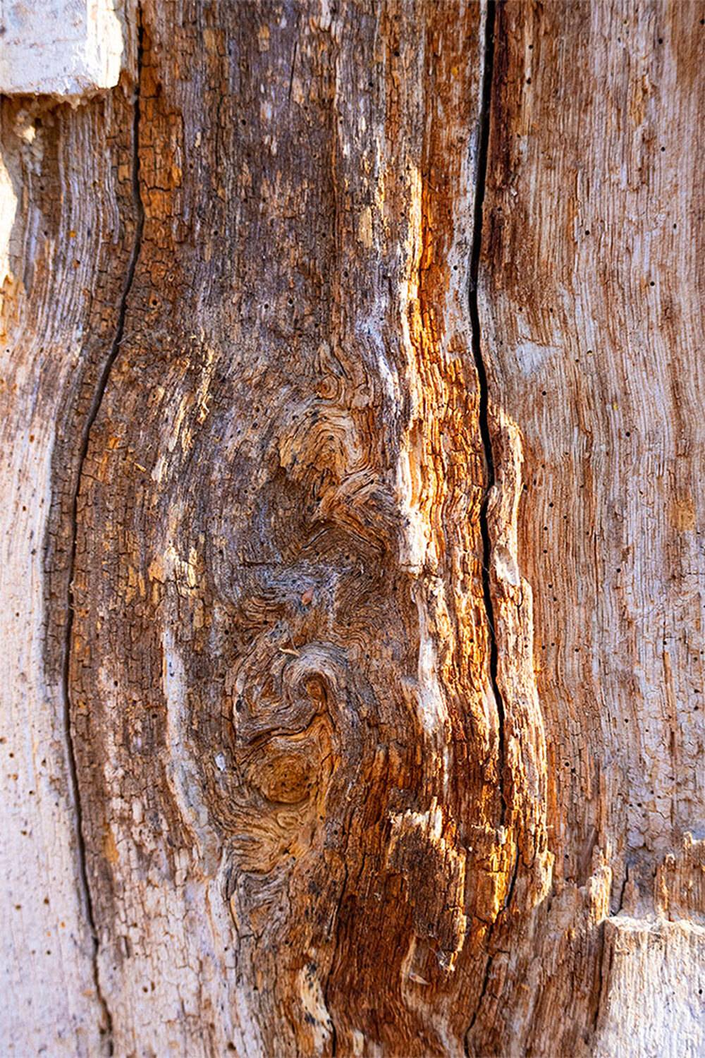 , Чудинин Дмитрий